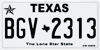 TX license plate BGV2313
