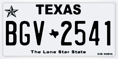 TX license plate BGV2541