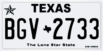 TX license plate BGV2733
