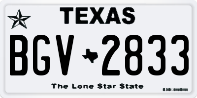TX license plate BGV2833