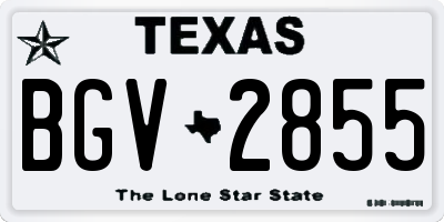 TX license plate BGV2855