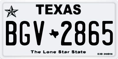 TX license plate BGV2865