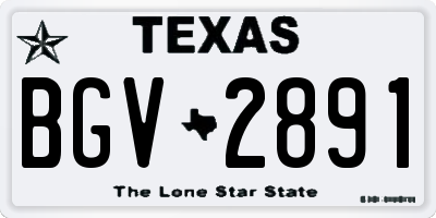 TX license plate BGV2891