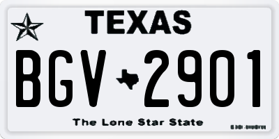 TX license plate BGV2901