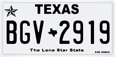 TX license plate BGV2919
