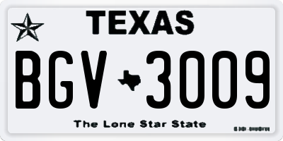 TX license plate BGV3009