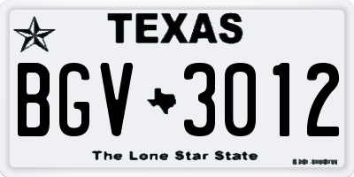 TX license plate BGV3012
