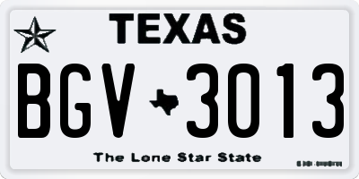 TX license plate BGV3013