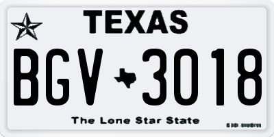 TX license plate BGV3018
