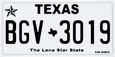 TX license plate BGV3019