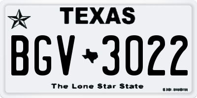 TX license plate BGV3022
