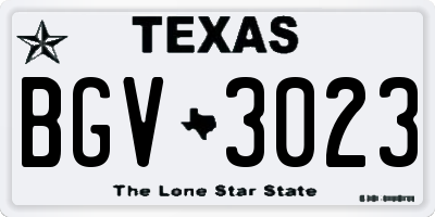 TX license plate BGV3023