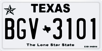 TX license plate BGV3101