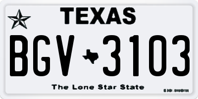 TX license plate BGV3103
