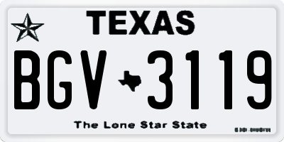 TX license plate BGV3119
