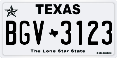 TX license plate BGV3123
