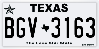 TX license plate BGV3163