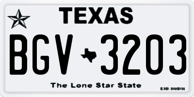 TX license plate BGV3203