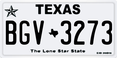 TX license plate BGV3273