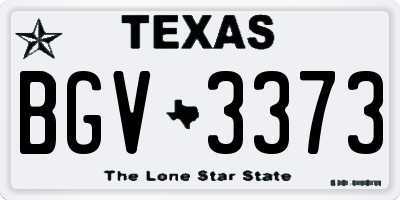 TX license plate BGV3373