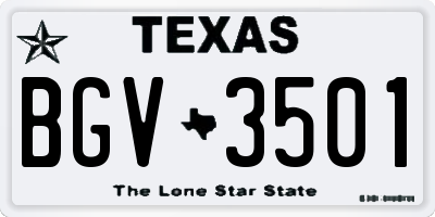 TX license plate BGV3501