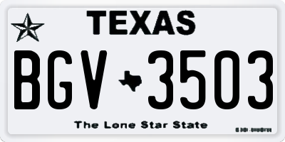 TX license plate BGV3503
