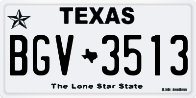 TX license plate BGV3513