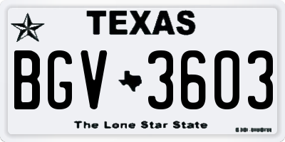 TX license plate BGV3603