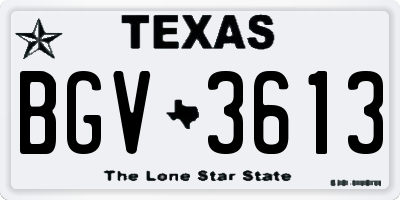 TX license plate BGV3613