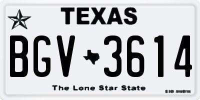 TX license plate BGV3614
