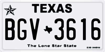 TX license plate BGV3616