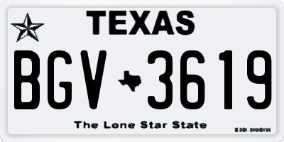 TX license plate BGV3619