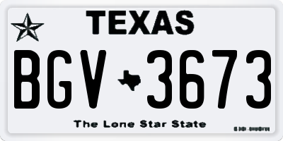TX license plate BGV3673