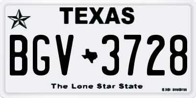 TX license plate BGV3728