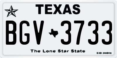 TX license plate BGV3733