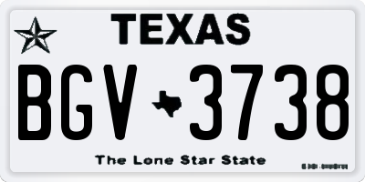 TX license plate BGV3738