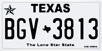 TX license plate BGV3813