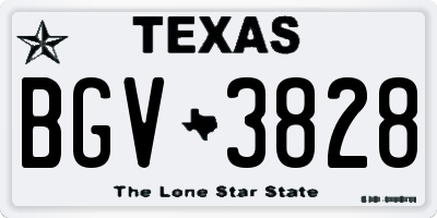 TX license plate BGV3828