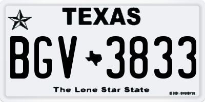 TX license plate BGV3833
