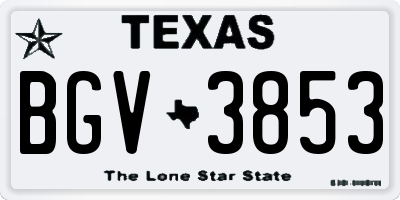 TX license plate BGV3853