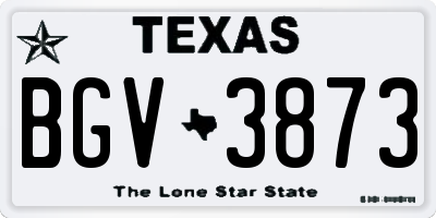 TX license plate BGV3873