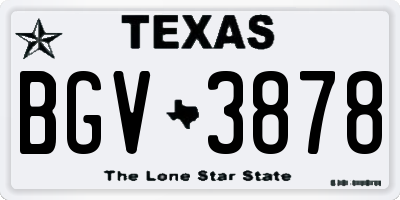 TX license plate BGV3878