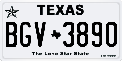 TX license plate BGV3890
