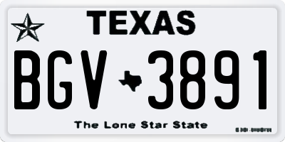 TX license plate BGV3891