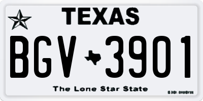 TX license plate BGV3901