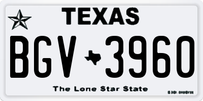 TX license plate BGV3960