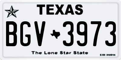 TX license plate BGV3973