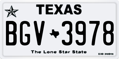TX license plate BGV3978