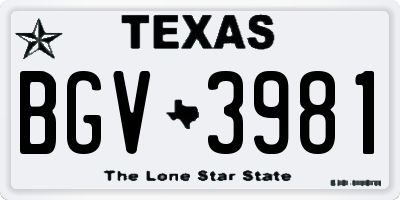 TX license plate BGV3981