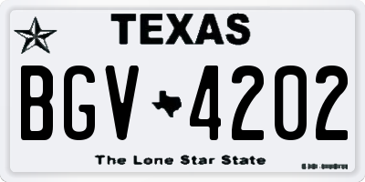 TX license plate BGV4202